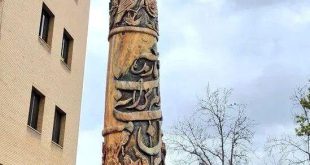 خلاقیت جالب و دیدنی شهرداری شیراز با درخت خشک شده